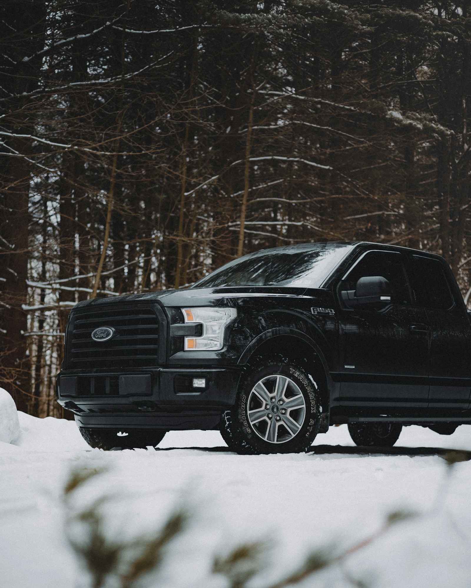 Ford F-150 dans la neige